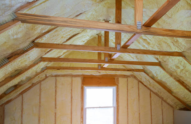 Best DIY Insulation Kits and Guidance in Nashville, GA