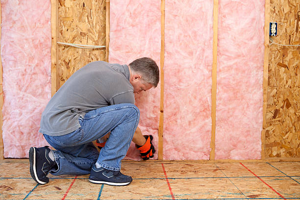 Best Specialized Insulation Services in Nashville, GA