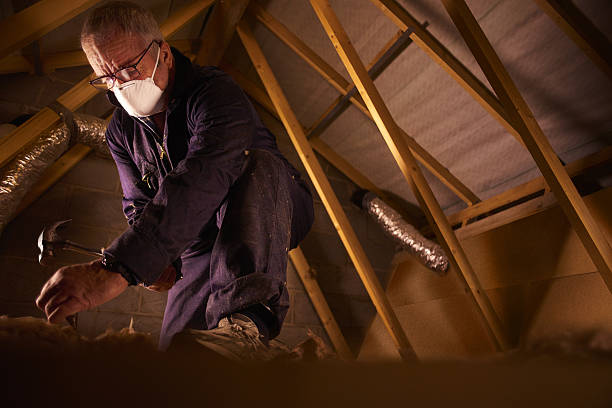 Best Geographic-Specific Insulation Services in Nashville, GA